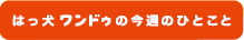 はっ犬（けん）ワンドゥの今週のひとこと