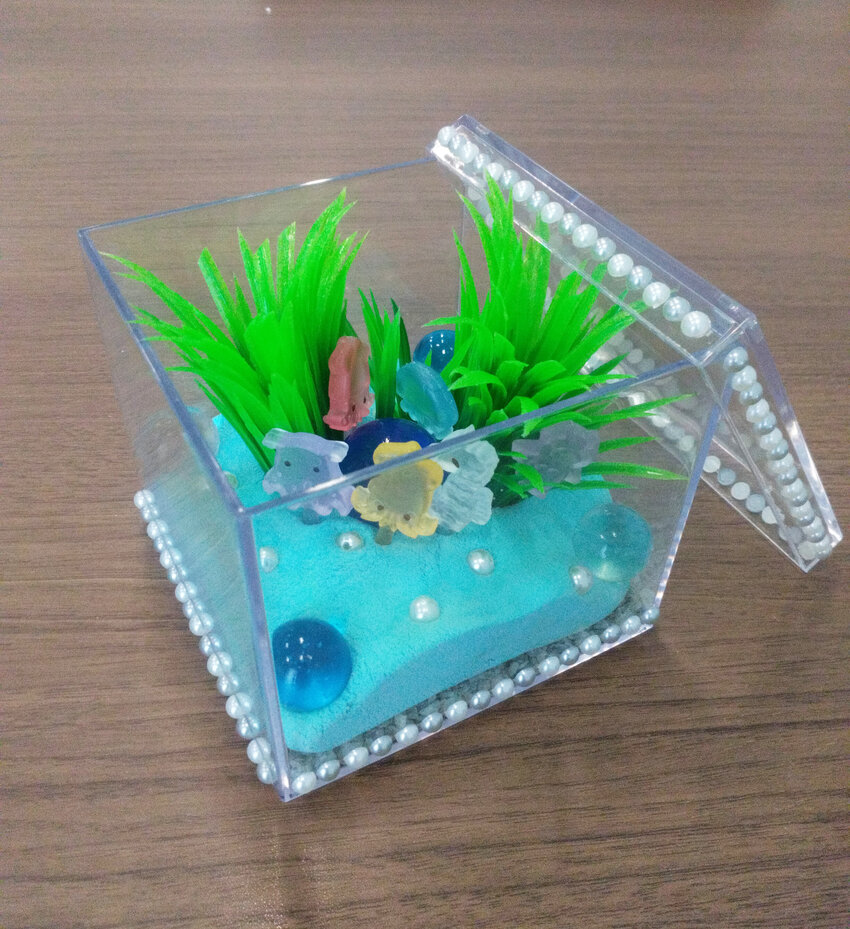手作りアクアリウム（海の生き物）_小田急百貨店町田店-修正.jpg